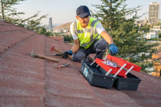 Siding Removal and Disposal